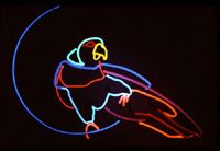 Neon Parrot Mural